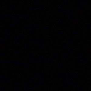 Meet your Posher, Sadie